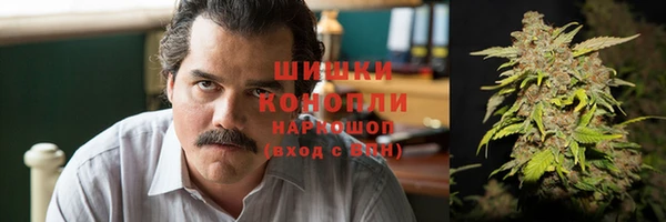 PSILOCYBIN Лагань