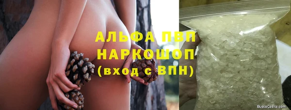 PSILOCYBIN Лагань