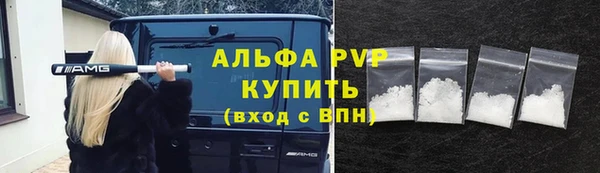 PSILOCYBIN Лагань