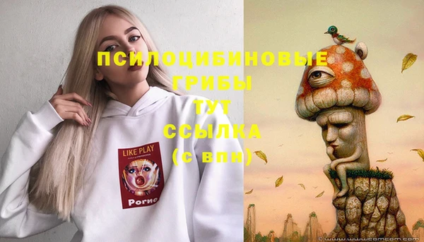 PSILOCYBIN Лагань