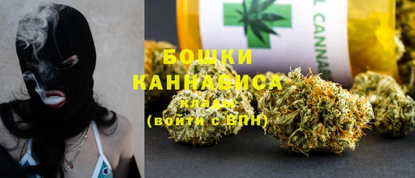 PSILOCYBIN Лагань