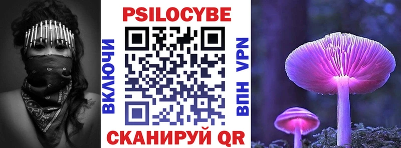 наркота  Тбилисская  Псилоцибиновые грибы Psilocybine cubensis 